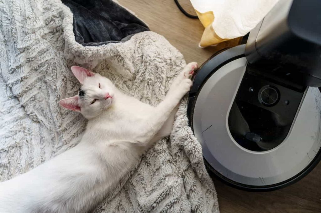 Elektrofoni ile Robot Süpürgeniz Yeni Gibi